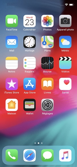 Trucs et astuces iPhone X application ouverte